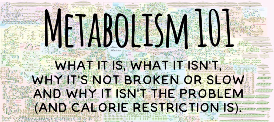 Daily Dose of First Aid: Metabolism Facts